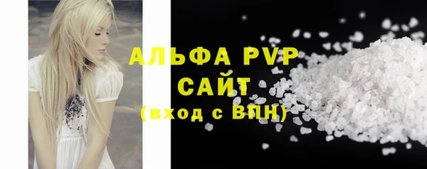 гидра Новозыбков