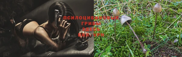 прущий лед Абдулино