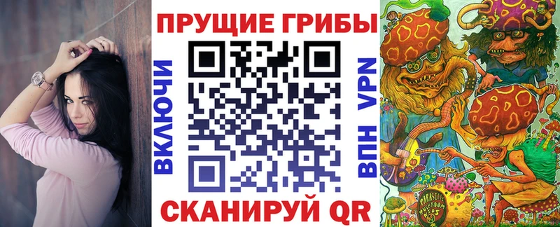 blacksprut сайт  Котельнич  Псилоцибиновые грибы GOLDEN TEACHER 
